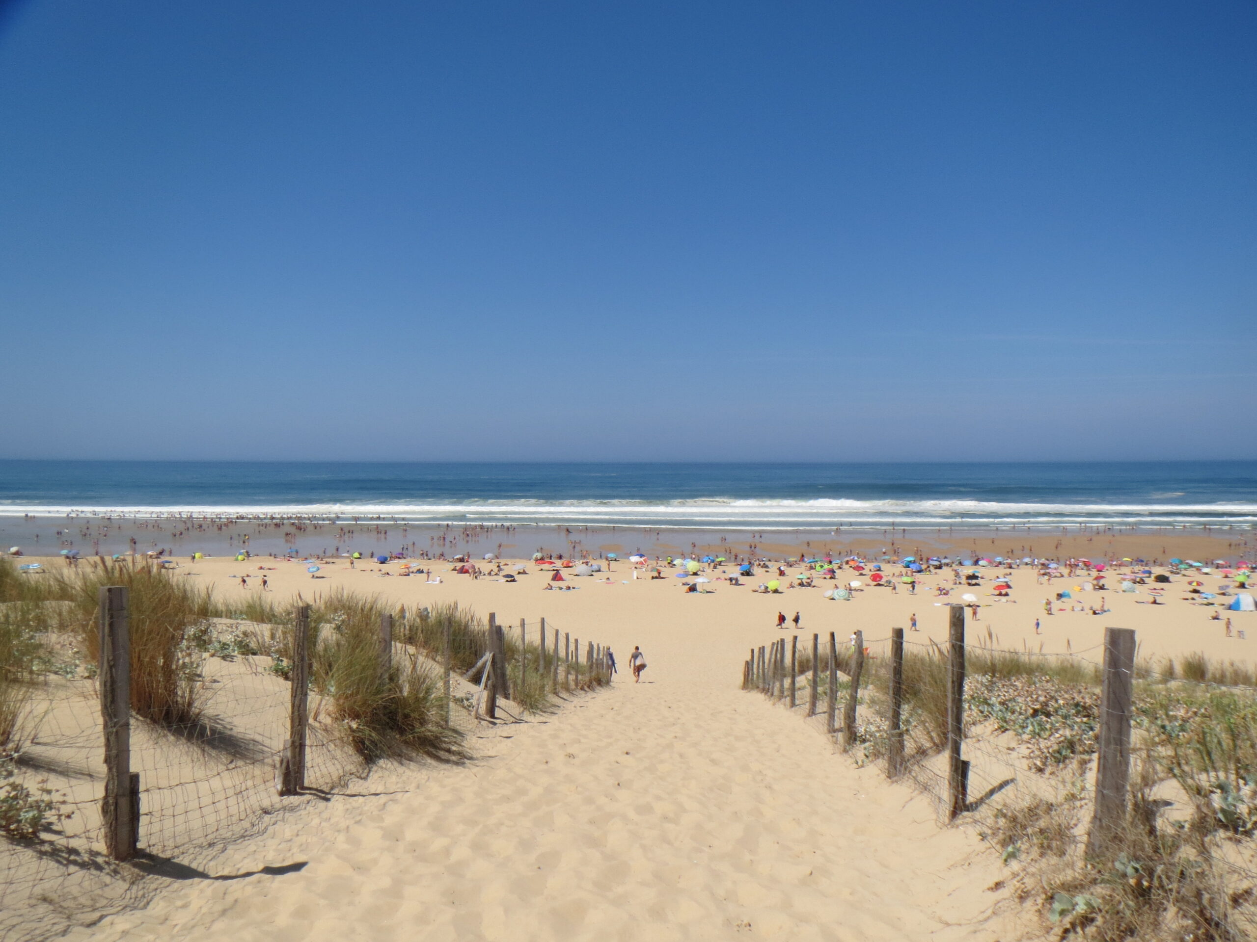 Sandy path through the dunes down to Moliets beach in summer