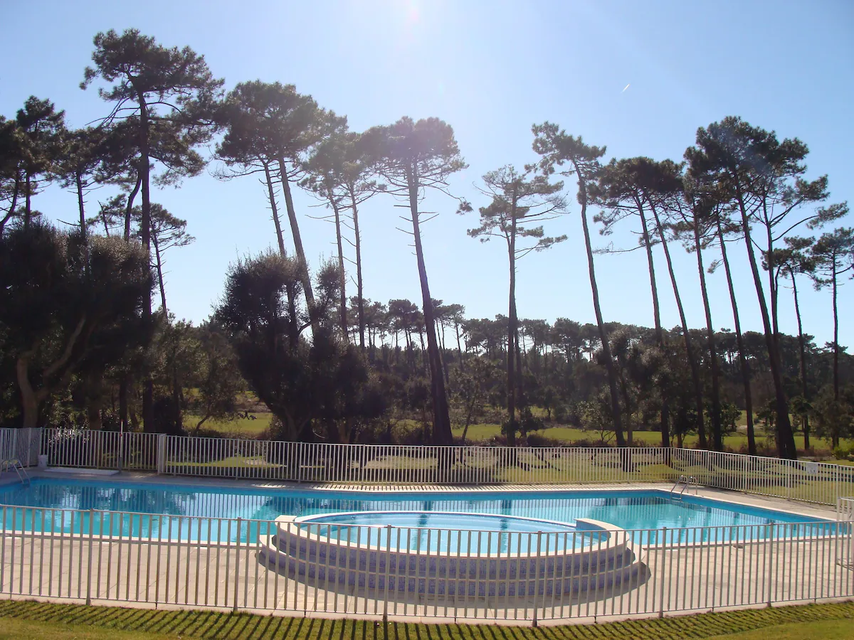 Residence swimming pool surrounded by tall maritime pines, with the Moliets golf course behind